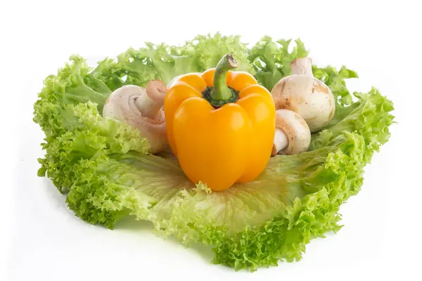 Champignons Und Paprika Auf Einem Bett Aus Salatblättern Mit Weißem — Stockfoto