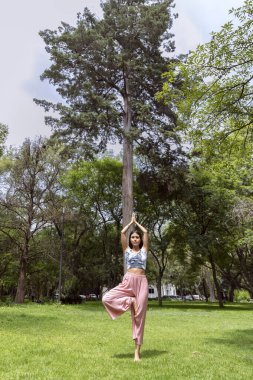 Latin kadın Yoga-asana yapıyor, farklı duruşlarla, arka planda çimenler ve ağaçlarla parklarda.