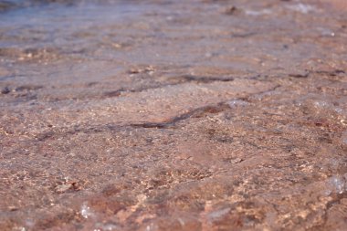 Temiz su yüzeyi hafif dalgalanmalar ve dokular gösteriyor. Güneş ışığını güzel yansıtıyor. Doğada sakin ve sakin bir atmosfer yaratıyor.