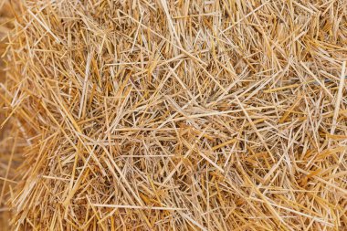 Altın pipetin yakın plan görüntüsü, doğal lifler ve toprak renkler, kompozisyonda sıcak ve kırsal bir atmosfer yaratıyor.