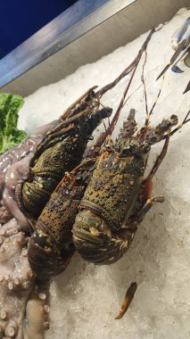 Taze ıstakozlar buzun üzerinde, deniz ürünleri ve yeşilliklerle çevrili, canlı bir pazar atmosferi ve mutfak tazeliği sergiliyorlar.
