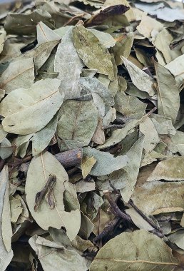 Kurumuş körfez yaprakları bir araya toplanır, yeşilin ve kahverenginin çeşitli tonlarını sergiler, doğal dokularını ve organik görünümlerini vurgularlar.
