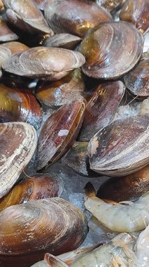 Taze midyeler ve karidesler buzun üzerinde dizilir, doğal renklerini ve dokularını sergilerler, cazip bir deniz ürünleri pazarı atmosferi yaratırlar.