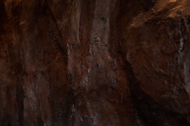 Kalıplaşmış kahverengi kaya duvarının yakın görüntüsü, doğal desenleri ve gölgeleri sergiliyor, jeolojik özellikleri ve renk değişimlerini vurguluyor