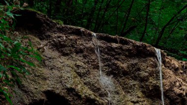 Bir yamaçta iki küçük dere.