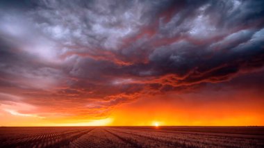 Bir tarlanın üzerinde gün batımı, sisli gökyüzü