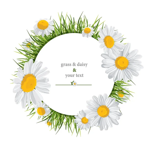 Summer print with daisies — Stock Vector