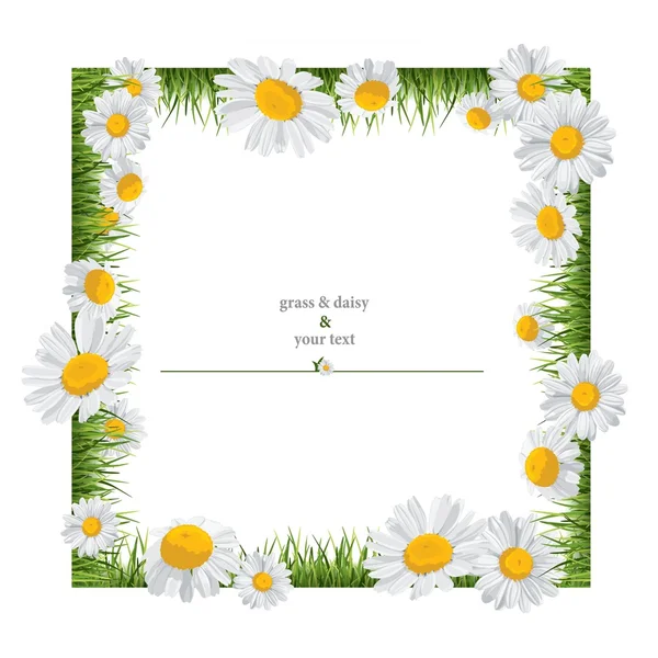 Sommer-Print mit Gänseblümchen — Stockvektor