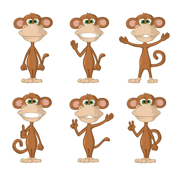 Divertido mono diferentes poses — Archivo Imágenes Vectoriales