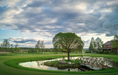 Tezgah ağaç ve köprü