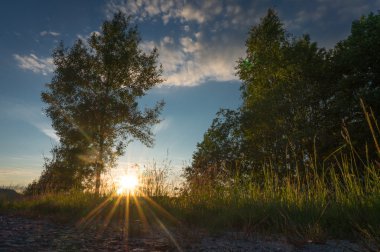 Tarlada gün batımı
