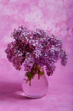 Pembe arka planda cam bir vazoda taze ve güzel leylak buketi.