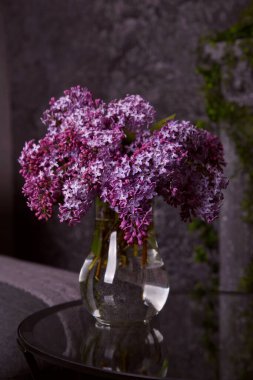 Koyu gri arka planda cam vazoda güzel leylak demeti.