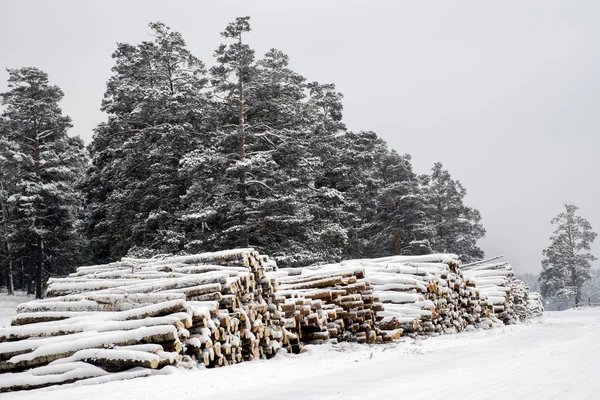 Protokoly jsou uváděny na silnice v zimě — Stock fotografie