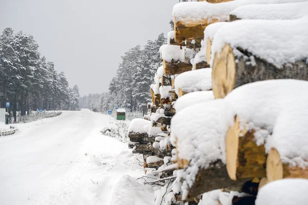 Protokoly jsou uváděny na silnice v zimě — Stock fotografie