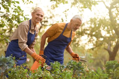 Bahçede çalışan orta yaşlı beyaz erkek ve kadın.