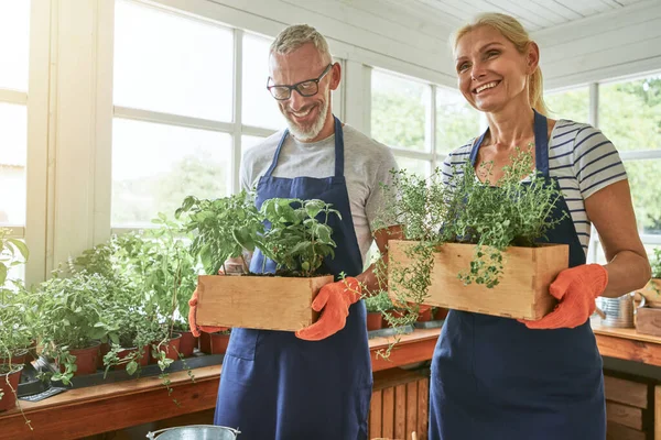 Middle aged caucasian spouces holding boxes with herbs