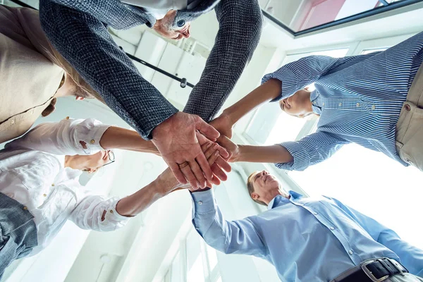 Bottom view of business people putting hands together, celebrating success while standing in the office — Stock Photo, Image