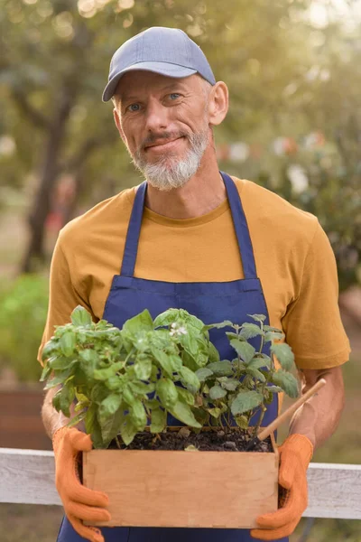 Felice uomo d'affari caucasico di mezza età con erbe piccanti — Foto Stock