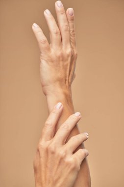 Bej bir arka planda güzel kadın ellerinin fotoğrafı