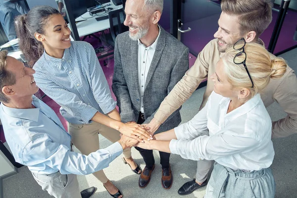 Gruppe zufriedener motivierter Geschäftsleute, die sich die Hände reichen und lächeln, während sie im Büro Erfolge feiern — Stockfoto