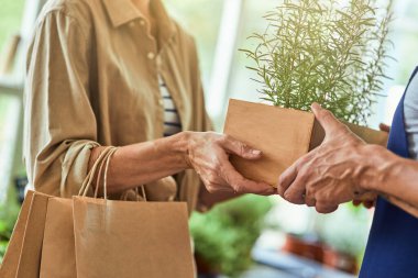 Kadın eli, erkekten biberiye alıyor.
