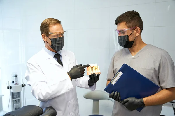Två tandläkare talar om anatomi av käkar på kontoret — Stockfoto