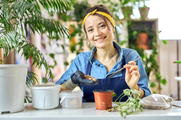 Wanita muda yang bahagia tersenyum di depan kamera, menuangkan drainase ke dalam pot bunga sambil mempersiapkan transplantasi tanaman di ruang tamu di rumah — Stok Foto