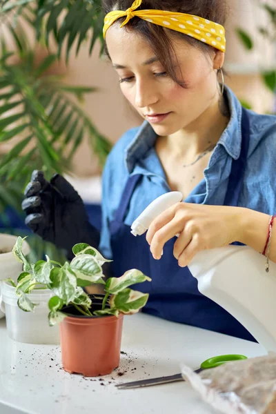 Potret wanita muda penyemprotan tanaman di pagi hari di rumah menggunakan semprotan botol saat menyiram tanaman rumah tangga — Stok Foto