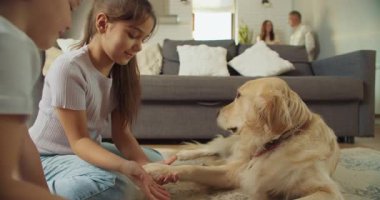 Kardeşler Golden Retriever 'ı beslerken ebeveynler koltuktan, sakin atmosferden, rahatlatıcı vuruşlardan, aile sıcaklığından ve nazik övgülerden izliyor.