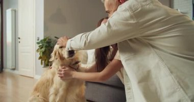 Beyaz çift rahat oturma odasında Golden Retriever 'a sarılıyor, erkek kürkü okşuyor, kadın gülüyor, yumuşak güneş ışığı ve yeşil