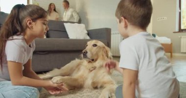Çocuklar oturma odasında Golden Retriever 'ı seviyorlar. Kardeşler ve ebeveynleri arasında nazik bir etkileşim var.