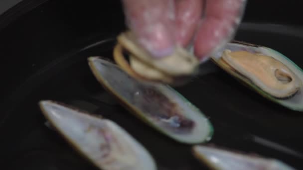 Les mains des chefs dans les gants reposent dans les coquilles moules de viande sur la plaque à pâtisserie. HD — Video