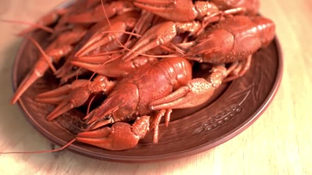 桌上的盘子里放着煮红的小龙虾.HD — 图库视频影像