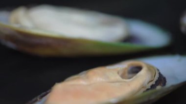 Fırında pişirmek için kabuklu midyeler. Yakın plan. HD