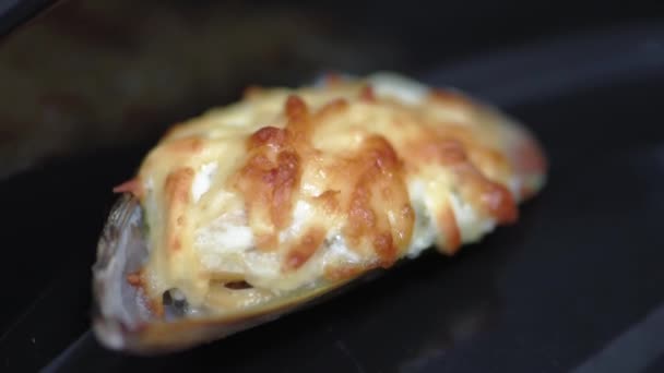 Mejillones con queso y salsa de queso en cáscaras en una bandeja de horno. Primer plano. HD — Vídeos de Stock