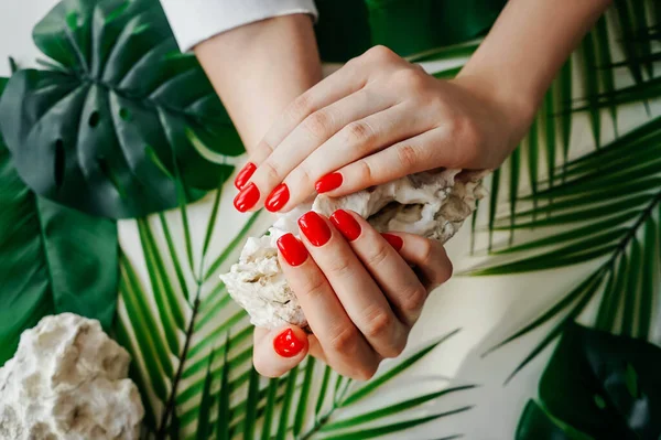 Beautiful manicured woman\'s nails with red nail polish on green leaves tropical background. Stone in hands.