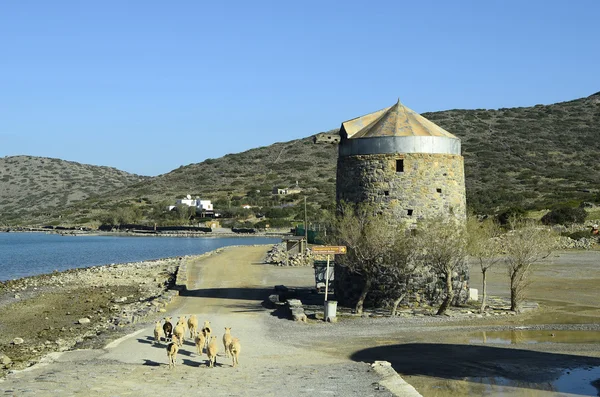 Grécia, Ilha de Creta — Fotografia de Stock