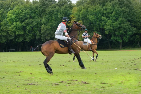 Desporto, torneio Polo — Fotografia de Stock