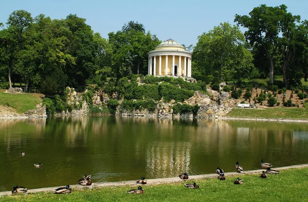 Österreich, Burgenland, Eisenstadt — Stockfoto