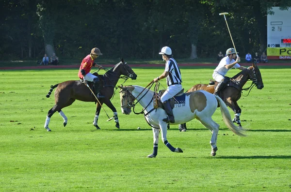 Sport, turniej Polo — Zdjęcie stockowe