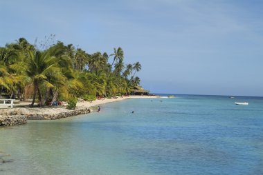 Fiji Adası, Güney Denizi, Melanesia