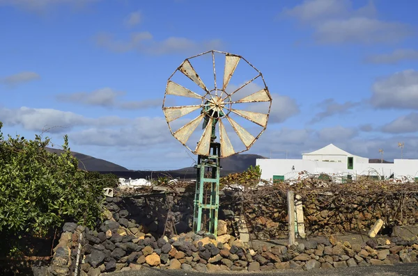 Spanien, kanariska ön, — Stockfoto