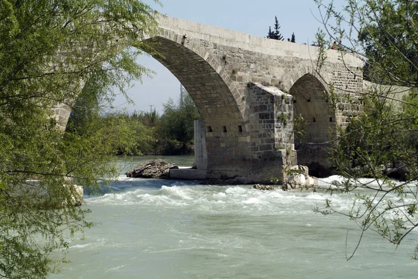 Turkey, seljuk bridge — Stock Photo, Image