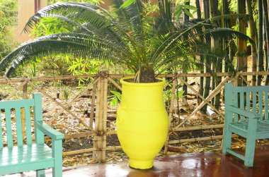 Fas, Marakeş, Bahçe Majorelle