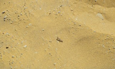 Yunanistan, Lemnos Adası