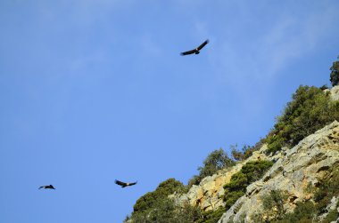 Yunanistan, Girit Adası