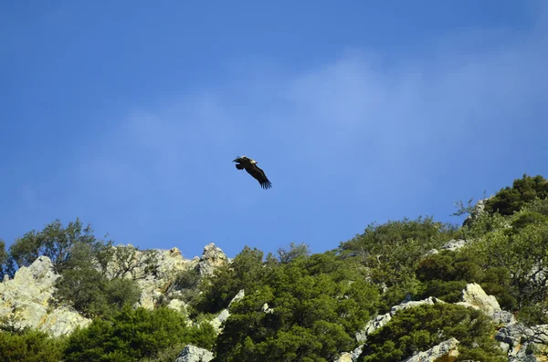 Grecia, Isla de Creta — Foto de Stock