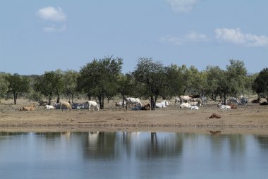 Avustralya, Kuzey toprakları
