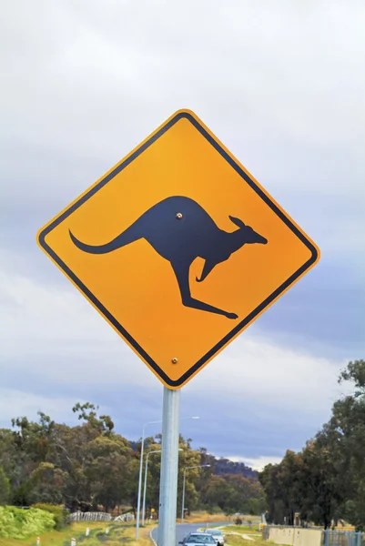 Australia, kangaroo sign — Stock Photo, Image